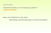 Ingo Rechenberg PowerPoint-Folien zur 10. Vorlesung Bionik I Berg- und Talbahnen in der Natur Bolzenflug, Schwimmspringen und Karussellsegeln.