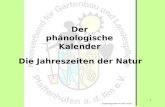 1 Der phänologische Kalender Die Jahreszeiten der Natur Zusammengestellt von Heinz Huber.