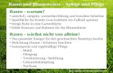 Horst Stegmann, Kreisfachberatung LRA FFB Rasen und Blumenwiese - Anlage und Pflege Rasen - warum? natürlich, sattgrün, wasserdurchlässig und trotzdem.