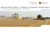 Weizenmarkt im Blick Weizenmarkt im Blick - Analysen, Prognosen, Erwartungen Fachtagung Qualitätsgetreide; 09.09.2011.