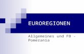 EUROREGIONEN Allgemeines und FB - Pomerania. 1.1 Definition - Euroregion Grenzübergreifende, freiwillige Zusammenschlüsse von Kommunen und Landkreisen.