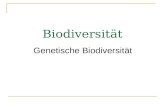 Biodiversität Genetische Biodiversität. Biodiversität Die Vielfalt der Arten auf der Erde, die genetische Vielfalt sowie die Vielfalt von Ökosystemen.