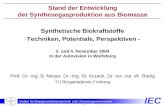 IEC Institut für Energieverfahrenstechnik und Chemieingenieurwesen - 1 - Synthetische Biokraftstoffe -Techniken, Potentiale, Perspektiven - 3. und 4. November