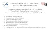 Konsortialstrukturen in Deutschland, Schweiz und den Niederlanden Eine Untersuchung im Rahmen des DFG-Projektes: Perspektiven für den Bezug elektronischer.