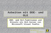 Wizards & Builders GmbH Arbeiten mit DDE- und OLE DDE- und OLE-Funktionen und Einsatz als OLE-Server von Microsoft Visual FoxPro.