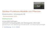 Struktur-Funktions-Modelle von Pflanzen Masterstudium, Schwerpunkt WI - Sommersemester 2010 - Winfried Kurth Universität Göttingen, Lehrstuhl Computergrafik.