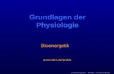 © Heribert Cypionka SS 2003,  Grundlagen der Physiologie  Bioenergetik.
