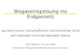 Biogaseinspeisung ins Erdgasnetz aus technischer, wirtschaftlicher und rechtlicher Sicht auf nationaler und internationaler Ebene Wolf Thyssen | 10. Juni.