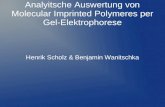 Analyitsche Auswertung von Molecular Imprinted Polymeres per Gel-Elektrophorese Henrik Scholz & Benjamin Wanitschka.