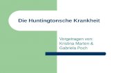 Die Huntingtonsche Krankheit Vorgetragen von: Kristina Marten & Gabriela Poch.