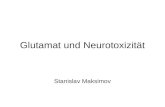 Glutamat und Neurotoxizität Stanislav Maksimov. Teil I Glutamat und Glutamatrezeptoren.