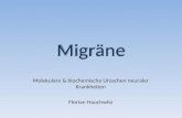 Migräne Molekulare & biochemische Ursachen neuraler Krankheiten Florian Hauchwitz.