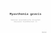Myasthenia gravis Seminar biochemische Ursachen neuraler Krankheiten II Daniel Mathow.
