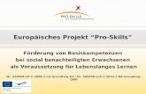 Europäisches Projekt Pro-Skills Förderung von Basiskompetenzen bei sozial benachteiligten Erwachsenen als Voraussetzung für Lebenslanges Lernen Nr. 230054-CP-1–2006-1-LU–Grundtvig–G1.