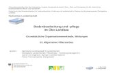© BLE 2003 H. Drangmeister Bodenbearbeitung und -pflege im Öko-Landbau Grundsätzliche Organisationsmerkmale, Wirkungen D1 Allgemeiner Pflanzenbau Quellen: