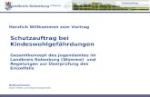 Herzlich Willkommen zum Vortrag Landkreis Rotenburg (Wümme) Schutzauftrag Schutzauftrag bei Kindeswohlgefährdungen Gesamtkonzept des Jugendamtes im Landkreis.