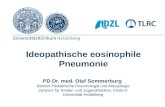 Ideopathische eosinophile Pneumonie PD Dr. med. Olaf Sommerburg Sektion Pädiatrische Pneumologie und Allergologie Zentrum für Kinder- und Jugendmedizin,