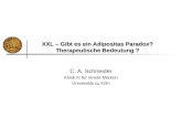 XXL – Gibt es ein Adipositas Paradox? Therapeutische Bedeutung ? C. A. Schneider Klinik III für Innere Medizin Universität zu Köln.