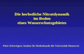 Die herbstliche Nitratdynamik im Boden eines Wasserschutzgebietes Peter Schweigert, Institut für Bodenkunde der Universität Hannover.