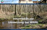 Www.brd.nrw.de Herr Reinders -Dez 54.1 Umsetzung der WRRL Information zur Umsetzung der WRRL.