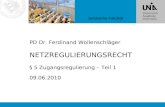 Juristische Fakultät PD Dr. Ferdinand Wollenschläger NETZREGULIERUNGSRECHT § 5 Zugangsregulierung – Teil 1 09.06.2010.