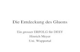 Die Entdeckung des Gluons Ein grosser ERFOLG für DESY Hinrich Meyer Uni. Wuppertal.