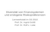 Diversität von Finanzsystemen und endogene Risikopräferenzen Lernwerkstatt im SS 2010 Prof. Dr. Ingrid Größl Prof. Dr. Rolf v. Lüde.