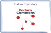 Fedora Repository. 28. Januar 2010IT- Zertifikat: Dedizierte Systeme Referent: Benjamin Wernigk 2 Was heißt Fedora? Flexible Extensible Digital Object.