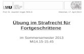 Übung im Strafrecht für Fortgeschrittene im Sommersemester 2013 Mi14.15-15.45 Prof. Dr. Joachim Vogel, RiOLGMünchen, 17. April 2013.