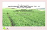 Ergebnisse des bayernweiten Frühjahrsmonitorings 2013 auf Verzwergungsviren BYDV/CYDV = Gersten-/Getreidegelbverzwergungsviren = Barley yellow darf virus/Cereal.