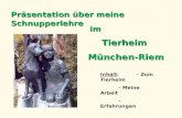 Präsentation über meine Schnupperlehre Inhalt: - Zum Tierheim - Meine Arbeit - Erfahrungen im TierheimMünchen-Riem.
