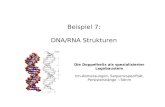 Beispiel 7: DNA/RNA Strukturen Die Doppelhelix als spezialisierter Legobaustein nm-Abmessungen, Sequenzspezifität, Persistenzlänge ~50nm.