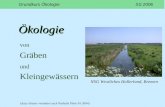 Ökologie von Gräben und Kleingewässern Grundkurs Ökologie SS 2006 NSG Westliches Hollerland, Bremen (Anja Schanz verändert nach Nathalie Plum SS 2004)
