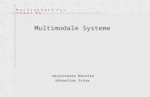 M u l t i m o d a l e S y s t e m e / M E Multimodale Systeme Joulavskaia Natalie Nikoulina Irina.