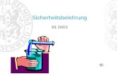 Sicherheitsbelehrung SS 2003. Allgemeines Kennzeichnung von Chemikalien Umgang mit Chemikalien und Apparaturen.