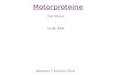 Motorproteine Tim Meyer - 14.06.2006 Betreuer: Christian Fleck.