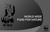 Gliederung 1. Was ist der WWF? 2. Geschichte und Entstehung 3. Aufbau 4. Ziele 5. Finanzierung 6. Kritik und Schwachpunkte.