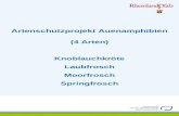 Artenschutzprojekt Auenamphibien (4 Arten) Knoblauchkröte Laubfrosch Moorfrosch Springfrosch.