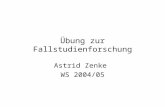 Übung zur Fallstudienforschung Astrid Zenke WS 2004/05.