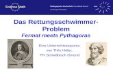 Das Rettungsschwimmer- Problem Fermat meets Pythagoras Eine Unterrichtssequenz von Thilo Höfer, PH Schwäbisch Gmünd.