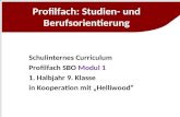 Profilfach: Studien- und Berufsorientierung Schulinternes Curriculum Profilfach SBO Modul 1 1. Halbjahr 9. Klasse in Kooperation mit Helliwood.