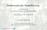C. Kohlmeier SS 2007, ICBM Mathematische Modellierung am Beispiel der Ausbreitung von Borkenkäfern Modellidee: W. Ebenhöh Cora Kohlmeier AG Mathematische.
