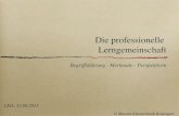 Die professionelle Lerngemeinschaft Begriffsklärung - Merkmale - Perspektiven LISA, 23.08.2013 © Mascha Kleinschmidt-Bräutigam.