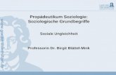 Propädeutikum Soziologie: Soziologische Grundbegriffe Soziale Ungleichheit Professorin Dr. Birgit Blättel-Mink.