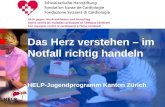 © S c h w e i z e r i s c h e H e r z s t i f t u n g Das Herz verstehen – im Notfall richtig handeln HELP-Jugendprogramm Kanton Zürich.