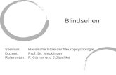 Blindsehen Seminar: klassische Fälle der Neuropsychologie Dozent: Prof. Dr. Mecklinger Referenten: P.Krämer und J.Jäschke.