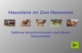 Haustiere im Zoo Hannover Seltene Haustierrassen und deren Geschichte.