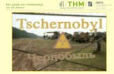 Prof. Dr. J. Breckow Der Unfall von Tschernobyl vor 25 Jahren.