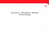 1 Soziales Netzwerk Wohnen Vorarlberg. 2 Gliederung Kurzer Überblick Vorarlberg Wohnungslosenhilfe in Vorarlberg Entstehung des Projektes Personengruppe.