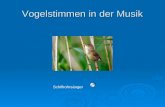 Vogelstimmen in der Musik Schilfrohrsänger. Bartgeier Eisvogel Hausrotschwanz Auerhuhn Grosser Brachvogel Goldammer.